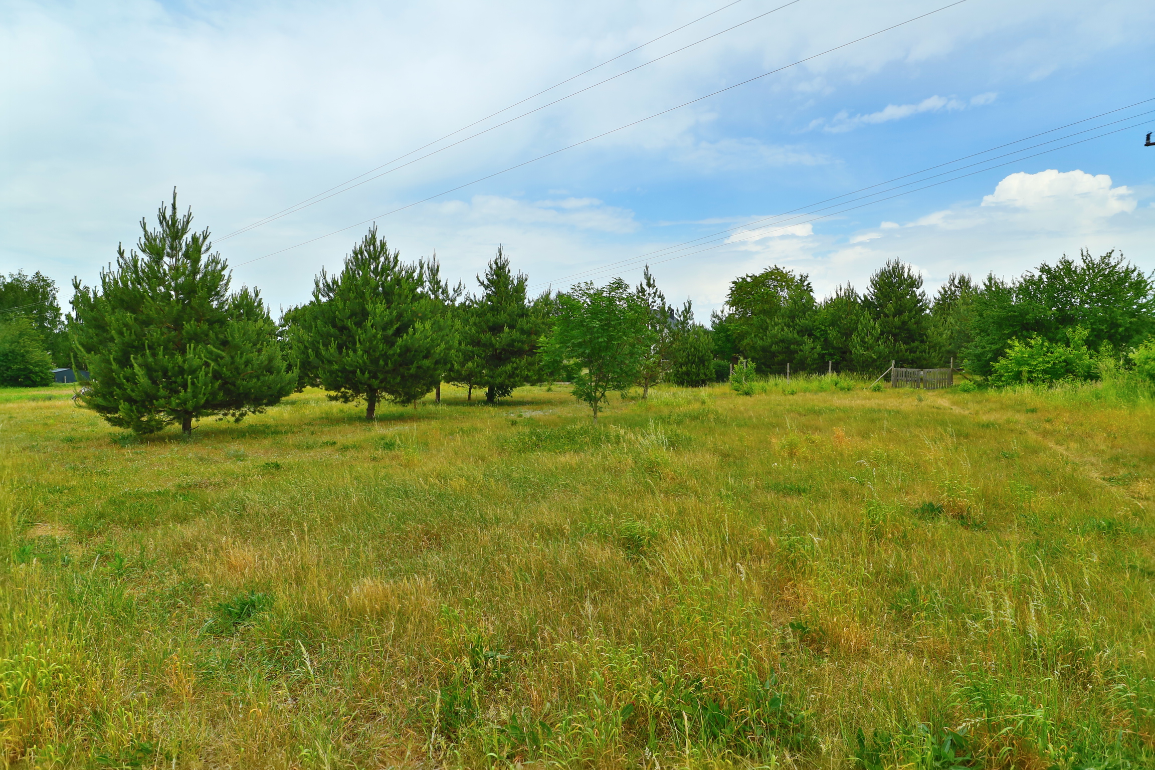 Działka Niecki gm.Turośń Kościelna